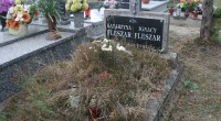 Katarzyna Fleszar