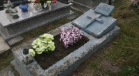 Katarzyna Osip
