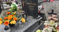 Gomółka Józefa