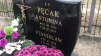 Pęcak Antonina